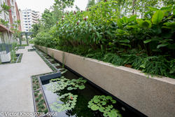 Tropika East (D14), Condominium #143830502